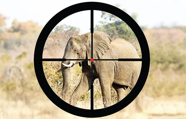 ମିଳିମିଶି ହାତୀ ମାରୁଛନ୍ତି, ଦାନ୍ତ କାଟି ଦନ୍ତାକୁ ପୋତିଦେଲେ