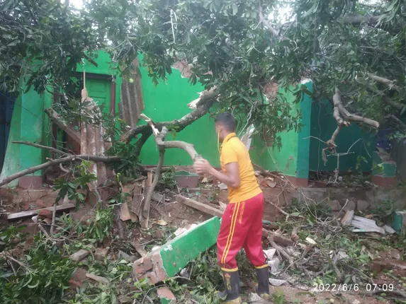 ଘର ଉପରେ ପଡିଲା ଆମ୍ବ ଗଛ, ତିନିଜଣ ଆହତ