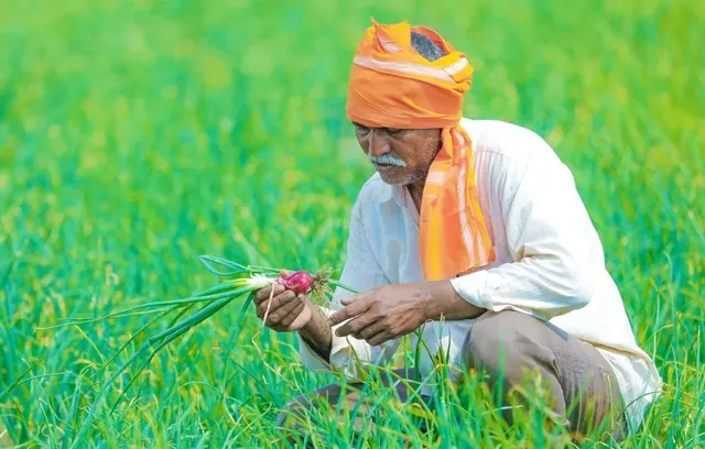 ୨୮.୧୪ ଲକ୍ଷ ହେକ୍ଟର ଜମିରେ ରବି ଚାଷ ଲକ୍ଷ୍ୟ: ୧୯.୩୯ ଲକ୍ଷ ମେଟ୍ରିକ ଟନ ଖାଦ୍ୟଶସ୍ୟ ଉତ୍ପାଦନ ଆକଳନ