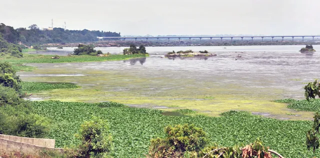 ସମ୍ବଲପୁରରେ ମହାନଦୀ ଦୂଷିତ, ମିଶୁଛି ତିନି ସହରର ନର୍ଦ୍ଦମା ପାଣି