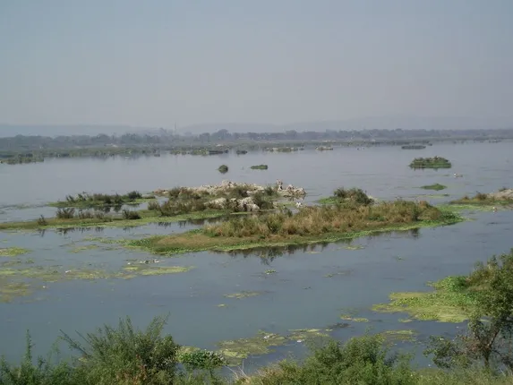 ଶୀତଳଭଣ୍ଡାରରେ ମହାନଦୀ ସେତୁ ସହିତ ବ୍ୟାରେଜ ପ୍ରକଳ୍ପ