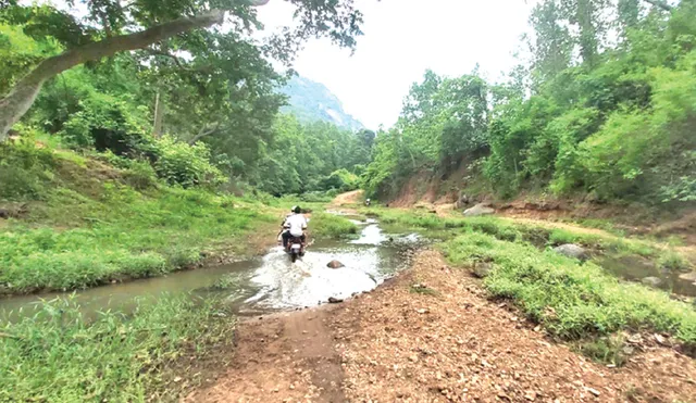 ଆସିଲା ବର୍ଷାଋତୁ, ବଢ଼ିଲା ଆଦିବାସୀ ପରିବାରଙ୍କ ଦୁର୍ଦ୍ଦଶା