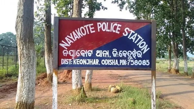 ୧୧ କେଭି ବିଦ୍ୟୁତ ତାର ସଂସ୍ପର୍ଶରେ ଆସି ନାବାଳକଙ୍କ ସମେତ ୨ ବଳଦ ଓ ୨ କୋକିଶିଆଳି ମୃତ