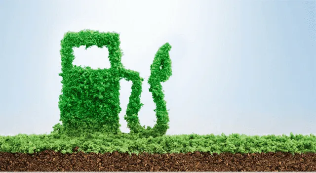 ଜୈବିକ ଇନ୍ଧନର ବିକଳ୍ପ ଅତ୍ୟନ୍ତ ଜରୁରି