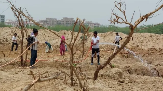 ଗଛ କାଟିବାରୁ ରେଳବାଇ ଉପରେ ୫.୯ କୋଟି ଟଙ୍କାର ଜରିମାନା