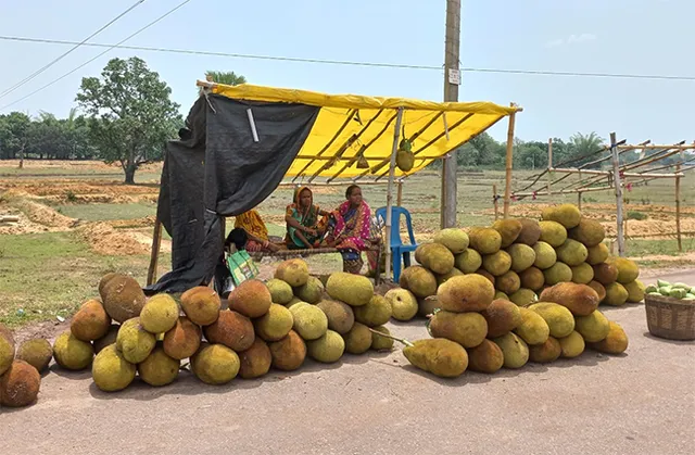 ପଣସର ଅଭାବୀ ବିକ୍ରି: କେଉଁଠି ୫୦ କେଉଁଠି ୧୫୦