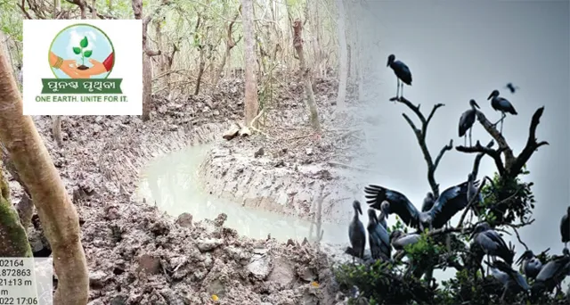 ବଗଗହନକୁ ଫେରିବେ ପକ୍ଷୀ!