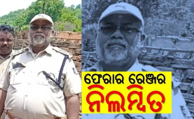 ଜିଲିଣ୍ଡା ବନାଞ୍ଚଳରୁ ହାତୀ କଙ୍କାଳ ଉଦ୍ଧାର ଘଟଣା: ନିଲମ୍ବିତ ହେଲେ ଫେରାର ରେଞ୍ଜର