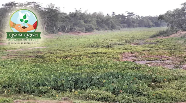 ସୁକପାଇକାକୁ ମାରିଦେଲେ! ଫାଇଲ୍‌ରେ ସୀମିତ ପୁନରୁଦ୍ଧାର ଯୋଜନା