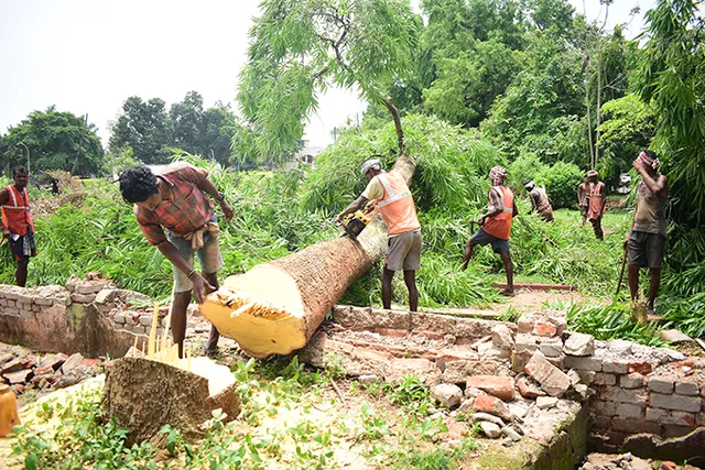 ବିଧାୟକଙ୍କ କ୍ବାର୍ଟର୍ସ ନିର୍ମାଣ ଲାଗି ଗଛ କଟାଯିବା ପ୍ରସଙ୍ଗ: ସତ୍ୟପାଠ ଦାଖଲ ପାଇଁ ସରକାରଙ୍କୁ ନିର୍ଦ୍ଦେଶ