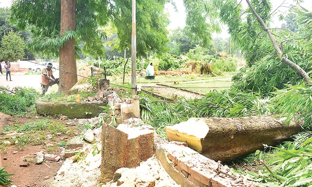 ବିଧାୟକ କ୍ବାର୍ଟର୍ସ ନିର୍ମାଣ ପାଇଁ ଗଛକଟା ପ୍ରସଙ୍ଗ: ବଦଳିବ ଗଛ ଠିକଣା