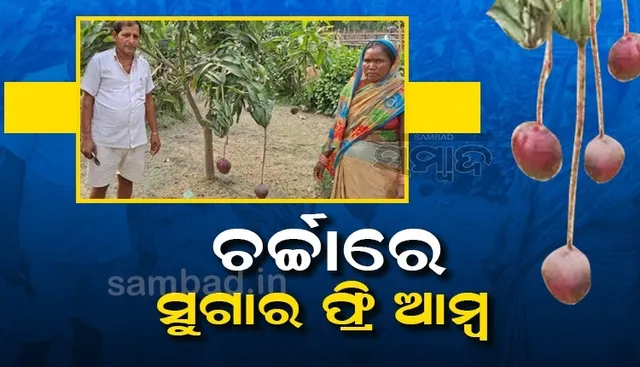 ଚର୍ଚ୍ଚାରେ ସୁଗାର ଫ୍ରି ଆମ୍ବ, ପାଚିବା ପର୍ଯ୍ୟନ୍ତ ୧୬ଥର ବଦଳାଇଥାଏ ରଙ୍ଗ
