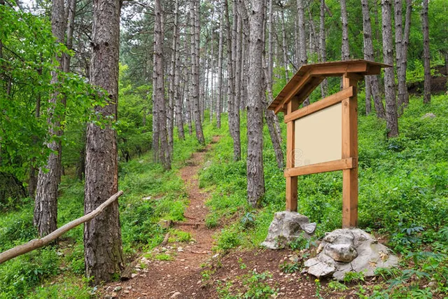 ଗାଁକୁ ରାସ୍ତା ନଥିବାରୁ ଯାଇପାରିଲାନି ଆମ୍ବୁଲାନ୍ସ, ୫କିମି ଖଟିଆରେ ବୁହା ହେଲେ ରୋଗୀ