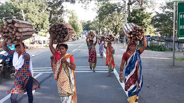 ଜଙ୍ଗଲଶୂନ୍ୟ ହେବ କନ୍ଧମାଳ! ସୁଚିନ୍ତିତ ଉପାୟରେ ଚାଲିଛି କାଠ କଟା
