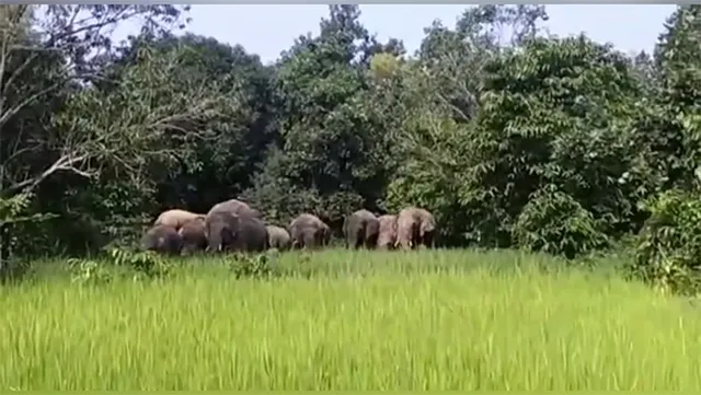 ୩ ବର୍ଷରେ ୯୪୯୦.୦୩ ଏକର ଫସଲ ନଷ୍ଟ, ଭାଙ୍ଗିଛି ୯୫୬ ଘର