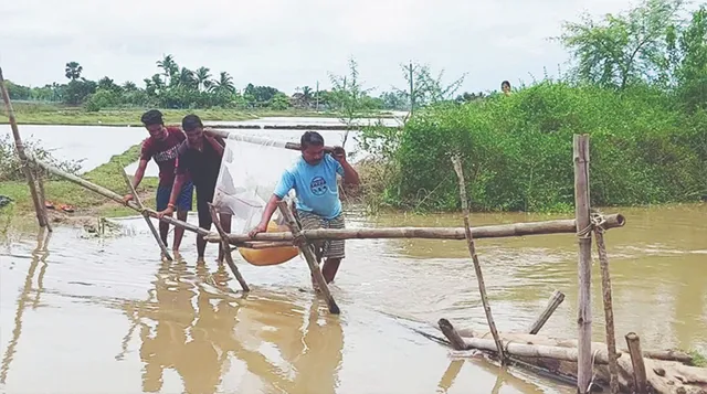 ବାଉଁଶ ଚାରରେ ବୁହାହେଲେ ରୋଗୀ