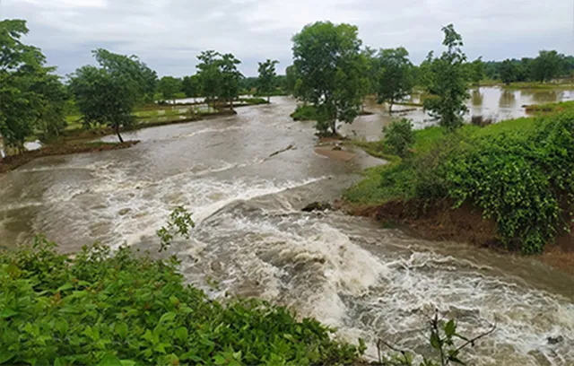 ଭୀମଟିକିରା-ସଂସାମୁରା ମୁଖ୍ୟ କେନାଲl‌ରେ ବିରାଟ ଘାଇ