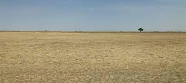 ଜଗନ୍ନାଥଙ୍କ ଜମି ଜବରଦଖଲ ପ୍ରସଙ୍ଗ, ଅନାମ ନାଏକଙ୍କୁ ଗିରଫ ଦାବିରେ ଅନଶନ