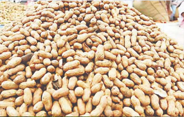 ଦଲାଲ୍‌ଙ୍କ କବଜାରେ ଚିନାବାଦାମ ବଜାର