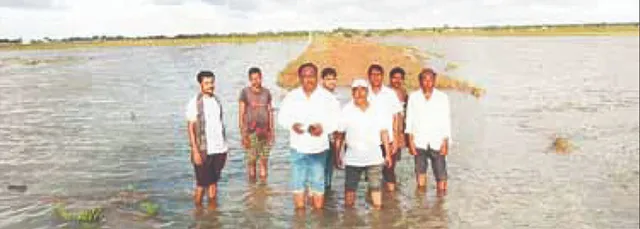 ଲୁଣି ଜୁଆର ମାଡ଼ି ୬ ଶହ ହେକ୍ଟର ଚାଷଜମି ପ୍ରଭାବିତ