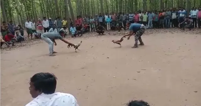 ସେଣ୍ଡକାପରେ ବେଆଇନ ଗଞ୍ଜା ଲଢ଼େଇ