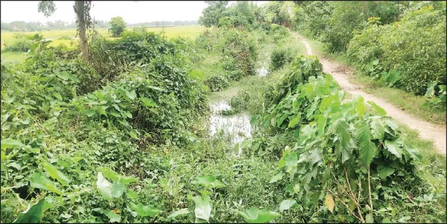 କେନାଲ ସଫେଇରେ କେଳେଙ୍କାରୀ!