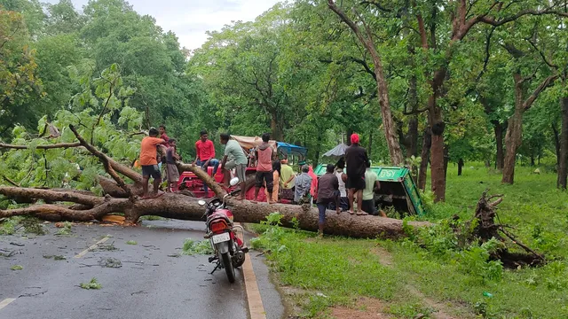 ଗଛ ପଡି ଝରିଗାଁ-ଚନ୍ଦାହାଣ୍ଡି ରାସ୍ତା ଅବରୋଧ