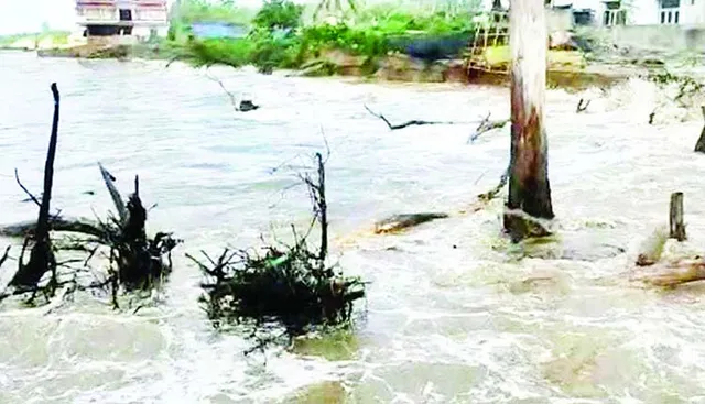 କୂଳ ଲଂଘିଲା ଅଶାନ୍ତ ସମୁଦ୍ର! ହଜାର ହଜାର ହେକ୍ଟର ଜମିରେ ମାଡ଼ିଗଲା ଲୁଣା ଜୁଆର