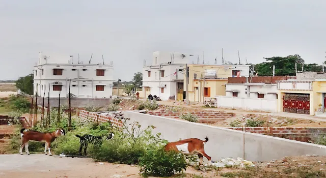 ଜବରଦଖଲରେ ମହାନଦୀ! ବଢୁଛି ପ୍ରଦୂଷଣ, ନଈପଠାରେ ଅଟ୍ଟାଳିକା