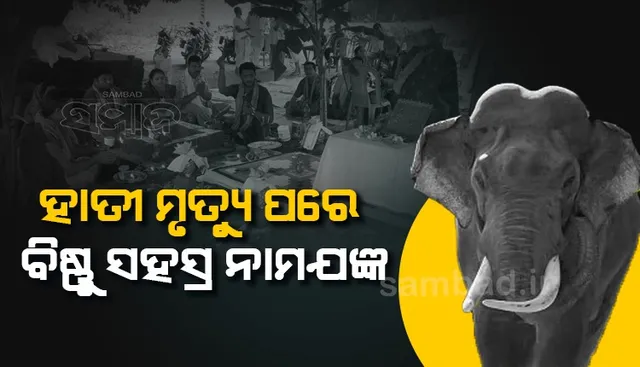 ଦନ୍ତାର ମୃତ୍ୟୁରେ ଝୁରି ହେଉଛନ୍ତି ଗ୍ରାମବାସୀ, ଆତ୍ମା ଶାନ୍ତି ପାଇଁ ଆୟୋଜନ କଲେ ନାମଯଜ୍ଞ ଓ ରୁଦ୍ରାଭିଷେକ