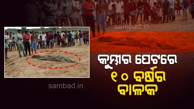 ନଦୀକୁ ଗାଧୋଇବାକୁ ଯାଇଥିବା ବେଳେ ୧୦ ବର୍ଷର ବାଳକକୁ ଗିଳିଦେଲା କୁମ୍ଭୀର