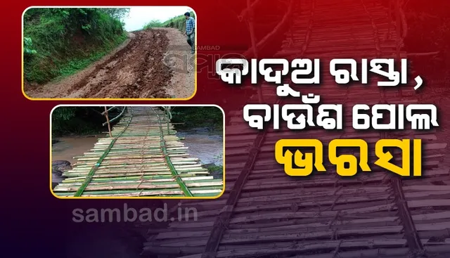 ରତ୍ନଗର୍ଭା କାଶୀପୁରର ଚିତ୍ର ବଦଳିବ କେବେ? ୩ କିମି ଦୂରରେ ସ୍କୁଲ୍, ମେଡ଼ିକାଲ୍, ଚାଉଳ ବଣ୍ଟନ କେନ୍ଦ୍ର