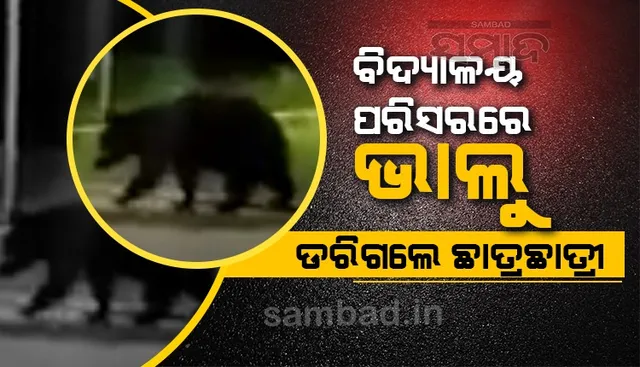 ଜବାହର ନବୋଦୟ ବିଦ୍ୟାଳୟ ପରିସରରେ ଭାଲୁ, ଛାତ୍ରଛାତ୍ରୀ ଆତଙ୍କିତ