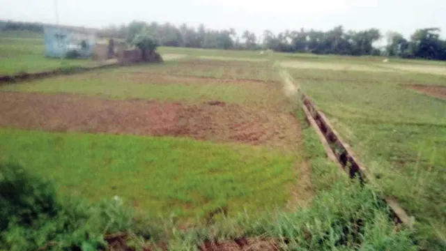 ଜୁଲାଇରେ ବି ବର୍ଷା କି କେନାଲ ପାଣି ନାହିଁ, ଶିଳ୍ପ ସଂସ୍ଥାକୁ ଜଳଯୋଗାଣ, ଚାଷୀ ଜଳକା