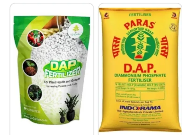 ଜିଲ୍ଲାରେ ଡିଏପି ସାରର କଳା ବଜାର, ବସ୍ତାପିଛା ୪ଶହ ଟଙ୍କା ଅଧିକ ଦରରେ ବିକ୍ରି