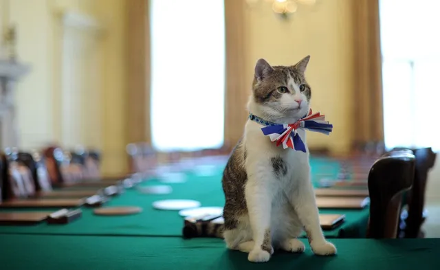 ବୋରିସ୍‌ ଜନ୍‌ସନ୍‌ ବ୍ରିଟିସ୍‌ ପ୍ରଧାନମନ୍ତ୍ରୀ ପଦରୁ ଇସ୍ତଫା ଦେବାକୁ ରାଜି ହେବା ପରେ କ’ଣ କହିଲା ତାଙ୍କ ବିରାଡ଼ି