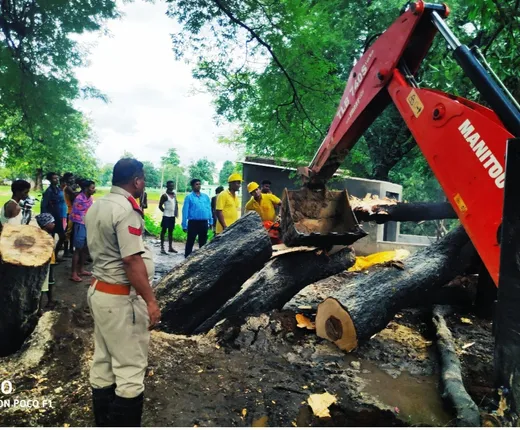 ଲଗାଣ ବର୍ଷାରେ ଉପୁଡ଼ିଲା ବିଶାଳକାୟ ଗଛ; ଘର ଭାଙ୍ଗିଲା, ଅଳ୍ପକେ ବର୍ତ୍ତିଲେ ପରିବାର ଲୋକ