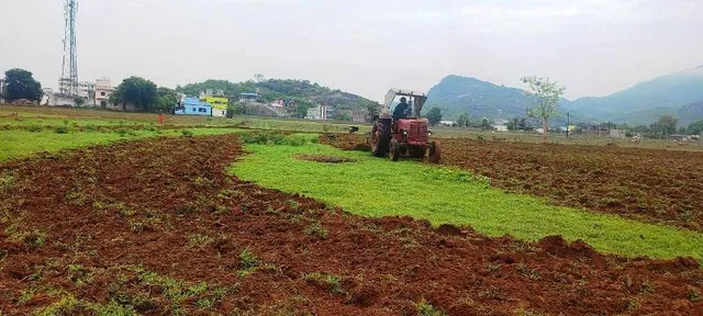 ଜୁନ୍ ମାସରେ ନିଅଂଟିଆ ବର୍ଷା, ୮୫ ପ୍ରତିଶତ ଚାଷ ଜମିରେ ଚାଷ କାମ ଠପ୍
