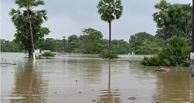 ମାଲକାନଗିରି ଜିଲ୍ଲାର ମୋଟୁରେ ବନ୍ୟାସ୍ଥିତି ଗମ୍ଭୀର: ପଡ଼ୋଶୀ ରାଜ୍ୟକୁ ଯାତାୟାତ ଠପ୍