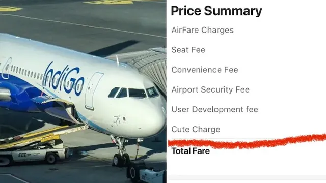 ଯାତ୍ରୀଙ୍କ ପ୍ରାଇସ୍‌ ସମରିରେ ଇଣ୍ଡିଗୋ ପକାଇଲା ‘କ୍ୟୁଟ୍‌ ଫି’, ଦ୍ବନ୍ଦ୍ବରେ ପଡ଼ିଲେ ସୋସିଆଲ୍‌ ମିଡିଆ ବ୍ୟବହାରକାରୀ