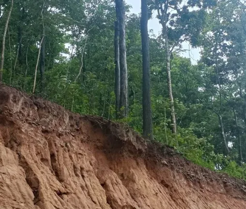 କେତେ ସୁରକ୍ଷିତ ଗୁପ୍ତେଶ୍ୱରର ରାସ୍ତା? ଗଛ ଅସୁରକ୍ଷିତ