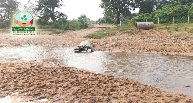 ଖଣି ଖାଇବ ନଈ, ନାଳ; ଅକାଳ ମୃତ୍ୟୁ ଅପେକ୍ଷାରେ ଅଧା ଡଜନ ଚିରସ୍ରୋତା ନାଳ