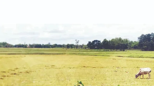 ସିଡିଏ ଜମି ଆବଣ୍ଟନ ପାଇଁ ନିର୍ଦ୍ଦିଷ୍ଟ ନୀତି ନାହିଁ: ଦରକାର ନ ଥିବା ଲୋକଙ୍କୁ ମିଳିଛି ପ୍ଲଟ୍‌, ଖାଲି ପଡ଼ିଛି ହଜାରେ