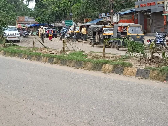 ସୌନ୍ଦର୍ଯ୍ୟକରଣ ନାଁରେ ସ୍ମାର୍ଟସିଟି ଅର୍ଥ ଆତ୍ମସାତ୍‌! ଲାଗିଥିବା ୩୦% ପାମ୍‌ ଗଛ ନଷ୍ଟ