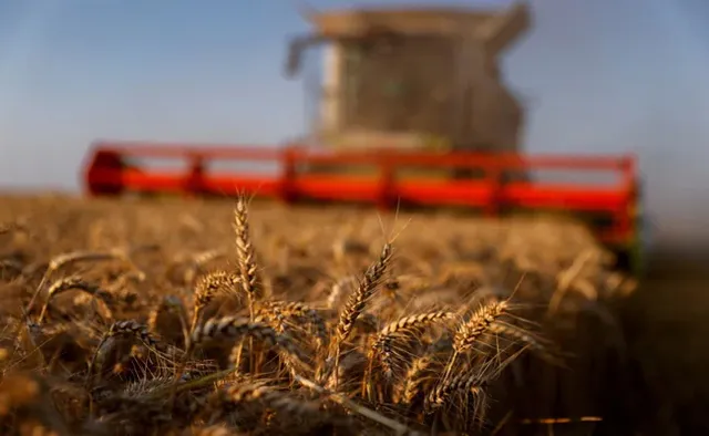 ୨୫ କିଲୋରୁ ଊର୍ଦ୍ଧ୍ବ ଖାଦ୍ୟଶସ୍ୟ ବସ୍ତା ଉପରେ ‘ଜିଏସ୍‌ଟି’ ଲାଗୁ ହେବ ନାହିଁ: ଅର୍ଥ ମନ୍ତ୍ରାଳୟ