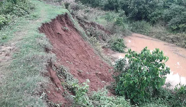 ୧୦୦ କୋଟି ଖର୍ଚ୍ଚ ପରେ ବି ବନ୍ୟା ଭୟ; ନଦୀବନ୍ଧ ଫାଟି ଆଁ, ବିପଦରେ ଦଶରଥପୁର