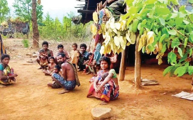 ବୁଡ଼ିଯାଉଛି ଆଦିମ ଜନଜାତି ମହ୍ଲାର ବଂଶ