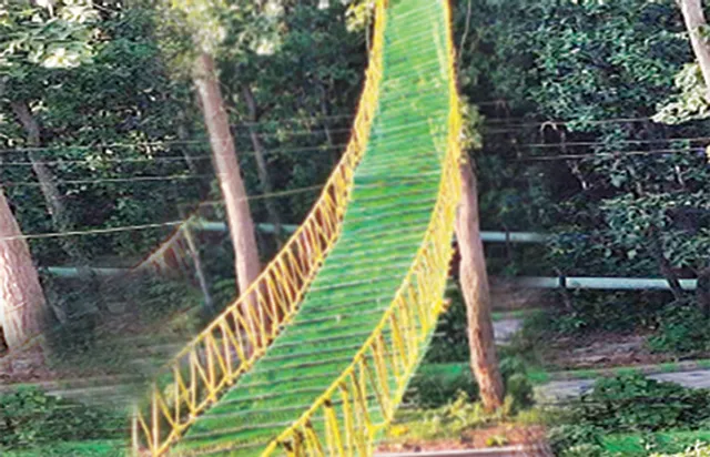 ମାଙ୍କଡ଼ଙ୍କ ପାଇଁ ଝୁଲାପୋଲ