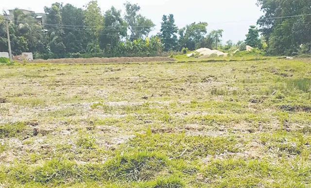 ଧାର୍ଯ୍ୟ ସମୟରେ ସରୁନି ସରକାରୀ ପ୍ରକଳ୍ପ: ଜମି ଚିହ୍ନଟ ପାଇଁ ଜାରି ହେଲା ଗାଇଡଲାଇନ୍