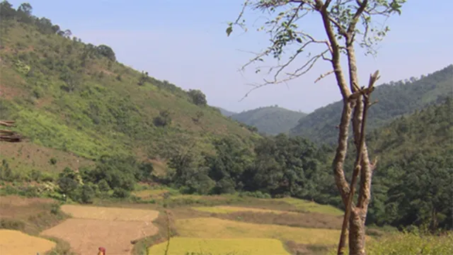 ମୁଣ୍ଡ ଟେକିଲା ଜମି ଆନ୍ଦୋଳନ: ଅଣଆଦିବାସୀଙ୍କ ଜମିରେ ଚାଷ କଲେ ଆଦିବାସୀ